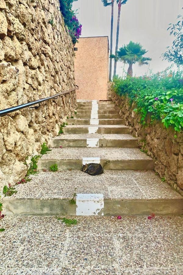 Santa Clara Cozy Sea View Studio توريمولينوس المظهر الخارجي الصورة