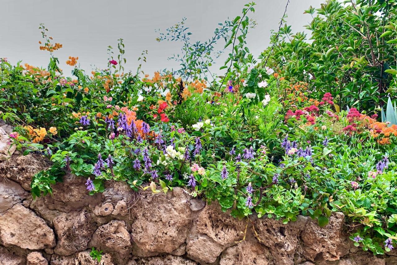 Santa Clara Cozy Sea View Studio توريمولينوس المظهر الخارجي الصورة